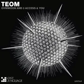 TEOM by 3 Access & You