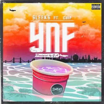 YNF (feat. Chip) by Sleeks