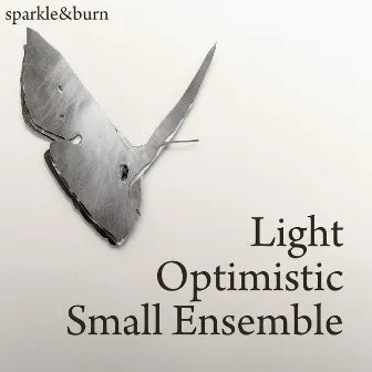 Light Optimistic Small Ensemble by Paul Honey