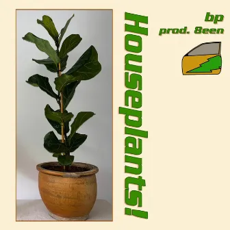 Houseplants! by Bp