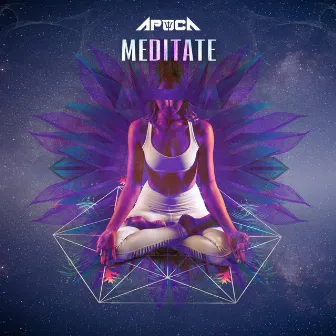 Meditate by Unknown Artist