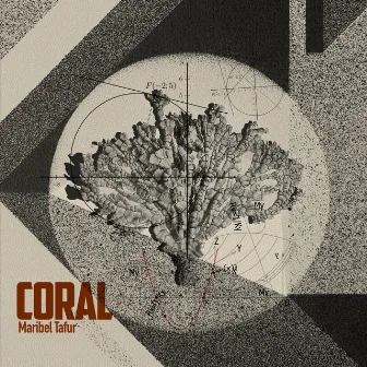 Coral by Maribel Tafur