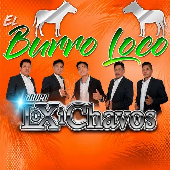 El burro loco by Grupo Loxichavos