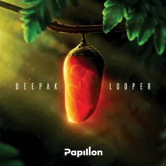 Deepak Looper by Papillon