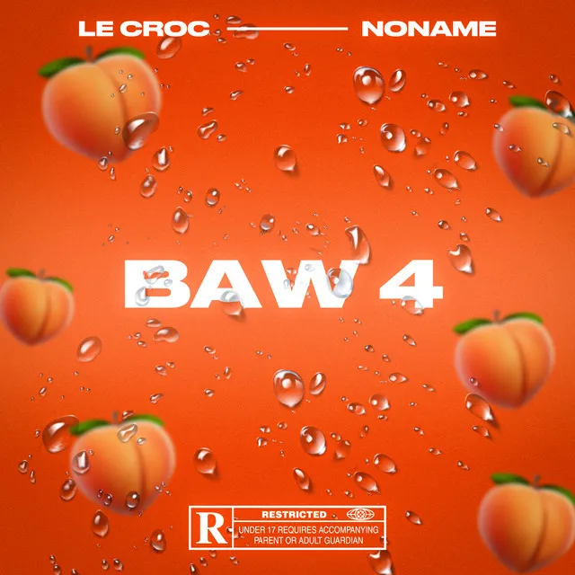 BAW 4