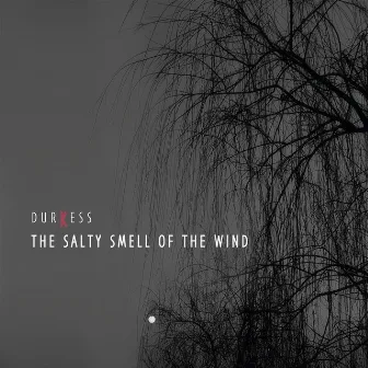 The Salty Smell Of The Wind by Andrea Felli