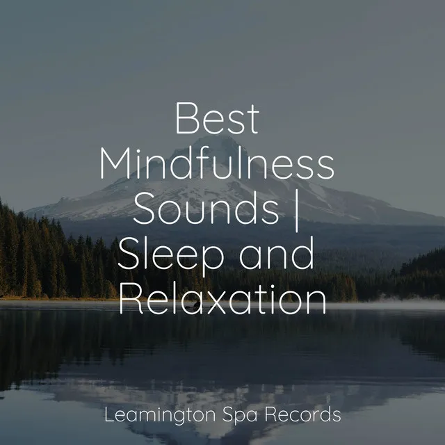 Music for Stress Relief