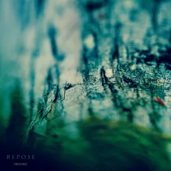 Repose by Hilyard