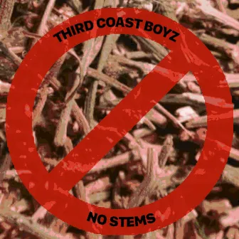 No Stems by Third Coast Boyz