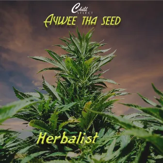 Herbalist by Aywee Tha Seed