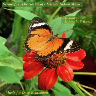 Divine Joy: The Nectar of Classical Indian Music by Music for Deep Relaxation