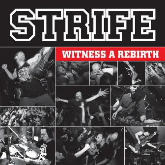 Witness a Rebirth by Strife