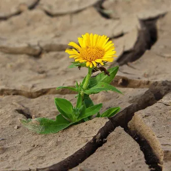 Ganando Vida by Blanca Flor