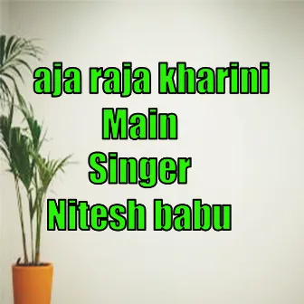 aja raja kharini main by Nitesh Babu