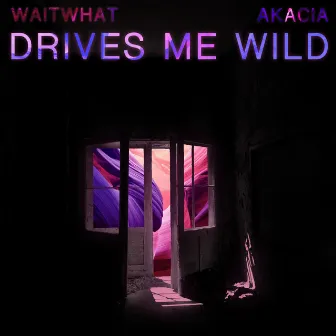 Drives Me Wild by waitwhat