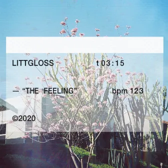 The Feeling by LittGloss