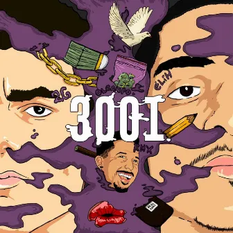 3001 by 2g