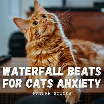 Nature Sounds: Waterfall Beats for Cats Anxiety by Relaxing Music for Cats