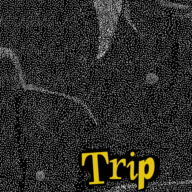 Trip