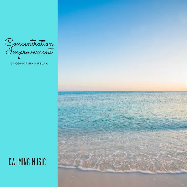 Concentration Improvement - Calming Music