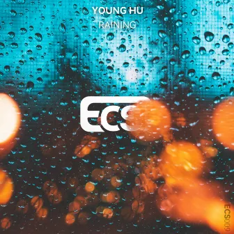 Raining by Young Hu