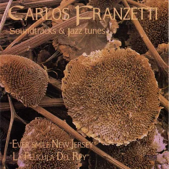 Soundtracks & Jazz Tunes by Carlos Franzetti