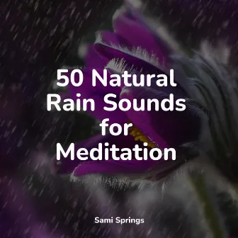 50 Natural Rain Sounds for Meditation by Rain Sounds Factory STHLM