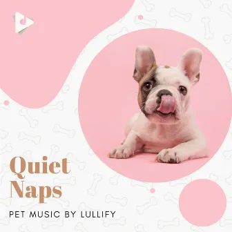 Quiet Naps by Pet Music by Lullify