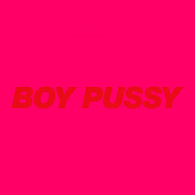 Boy Pussy