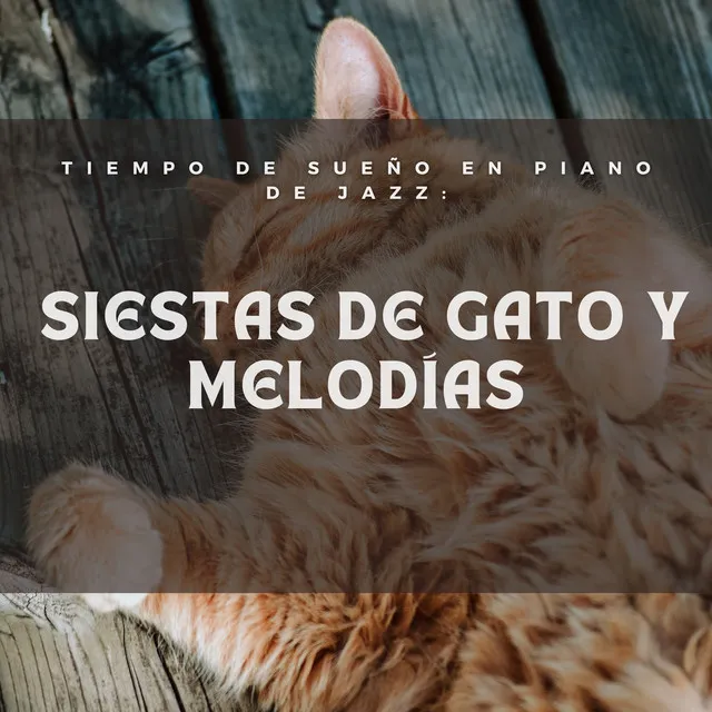 Tiempo De Sueño En Piano De Jazz: Siestas De Gato Y Melodías