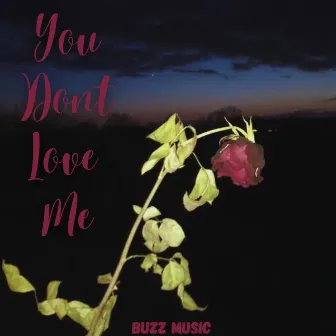 You Dont Love Me by Buzz Music