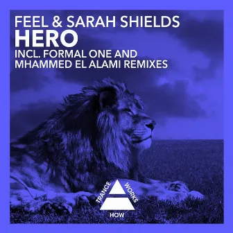 Hero by Sarah Shields