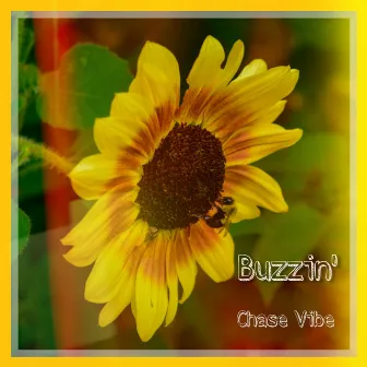 Buzzin' by Chase Vibe