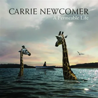 A Permeable Life by Carrie Newcomer