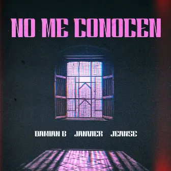 No Me Conocen by Janvier