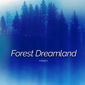 Forest Dreamland by Forest