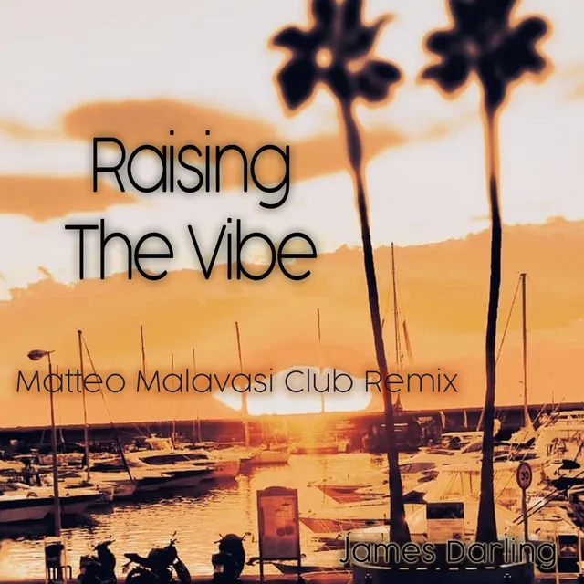 Raising the vibe - Matteo Malavasi Club Remix