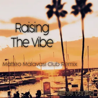 Raising the vibe (Matteo Malavasi Club Remix) by James Darling