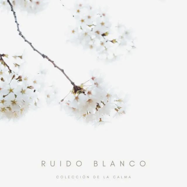 Ruido Blanco: Colección De La Calma