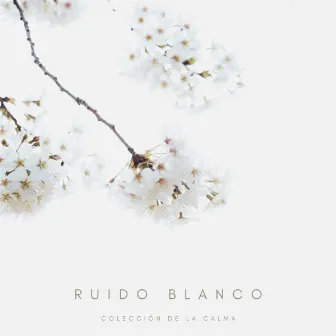 Ruido Blanco: Colección De La Calma by Musica para Dormir Radio