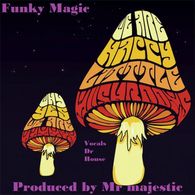 Funky Magic