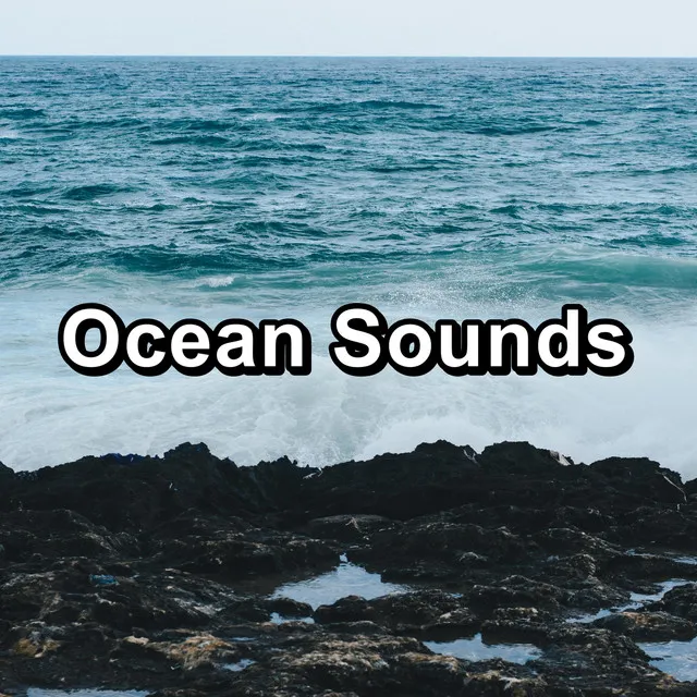 Ocean Wave Sounds With Nature Sounds Loopable for 8 Hours