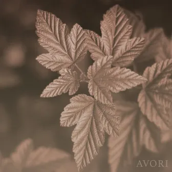 Avori by Mirova