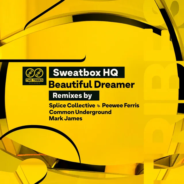 Beautiful Dreamer - Splice Collective Remix