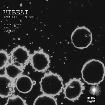 Ambiguous Night EP by Vibeat