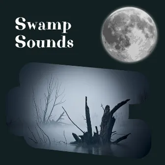 Swamp Sounds - Nighttime Ambience by Night Sounds