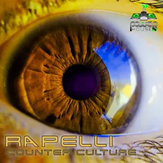 Counter Culture by Rapelli