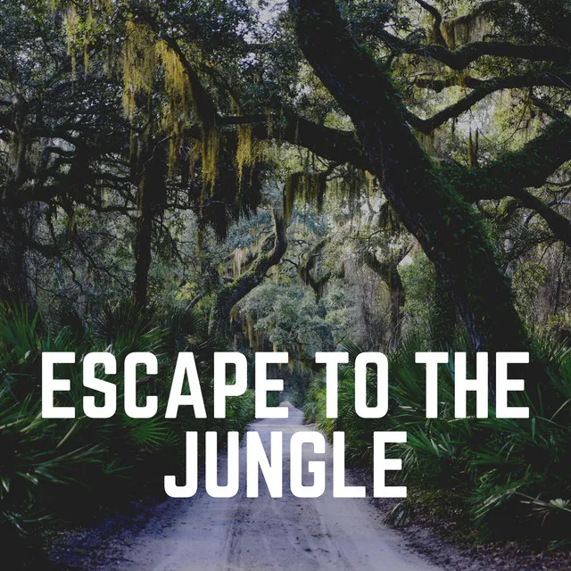 Escape to the Jungle