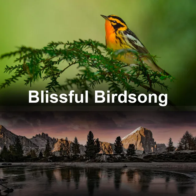 Blissful Birdsong