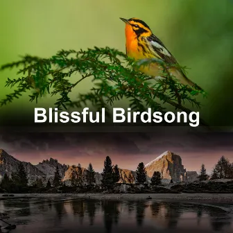 Blissful Birdsong by Naturescapes for Mindfulness Meditation